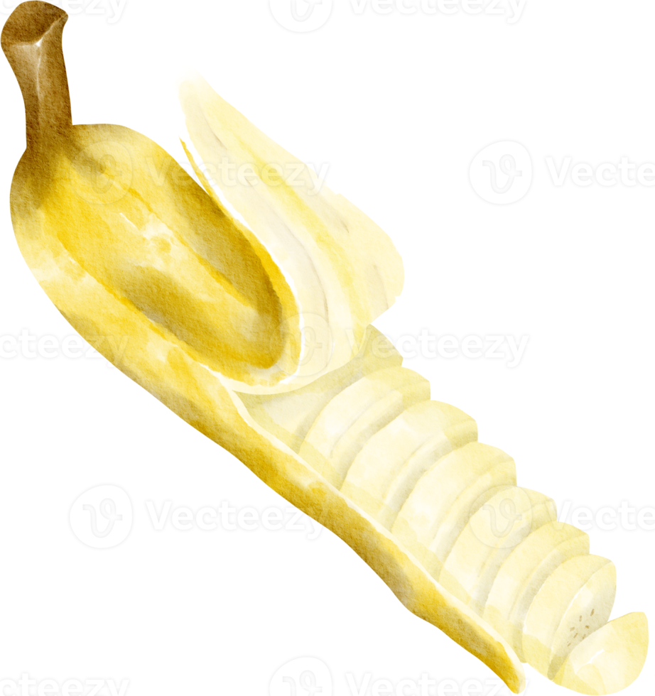 watercolor sliced banana png