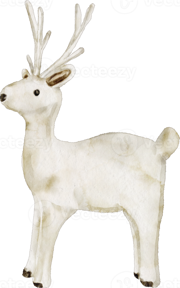 watercolor deer white png