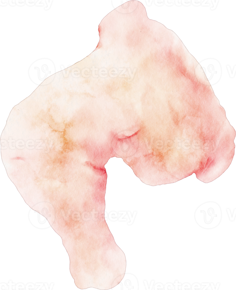 watercolor chicken leg png