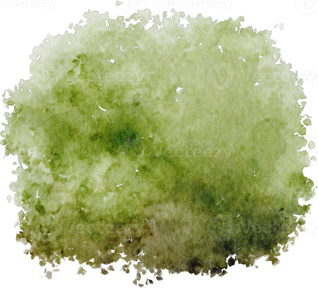 watercolor bush green png