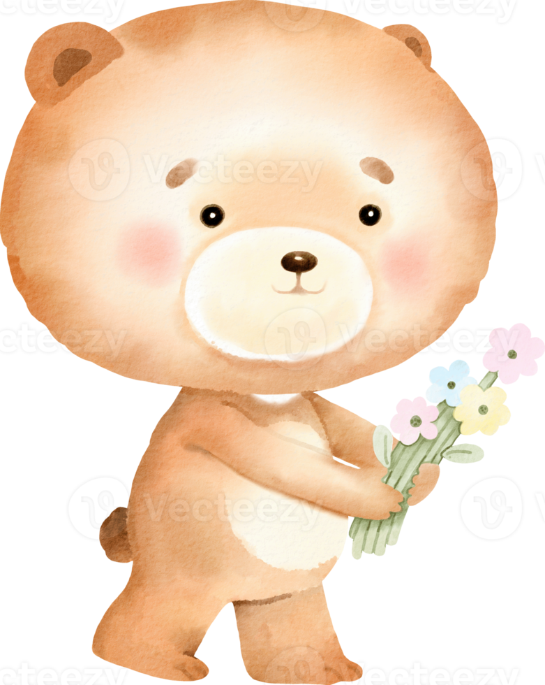 watercolor cute bear png