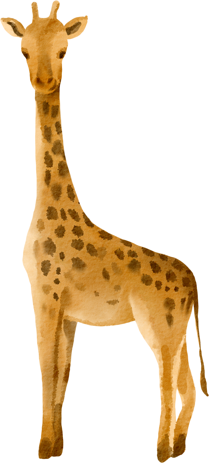 Free Genial Giraffe Clip Art Set Free Clip Art Digita - vrogue.co