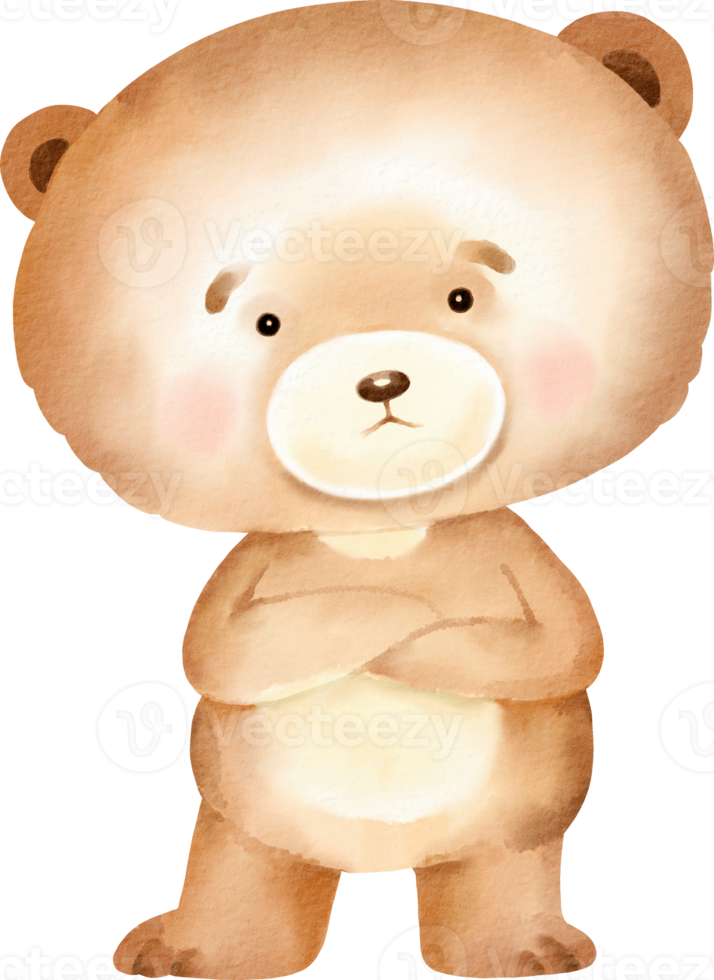 watercolor teddy bear cute png