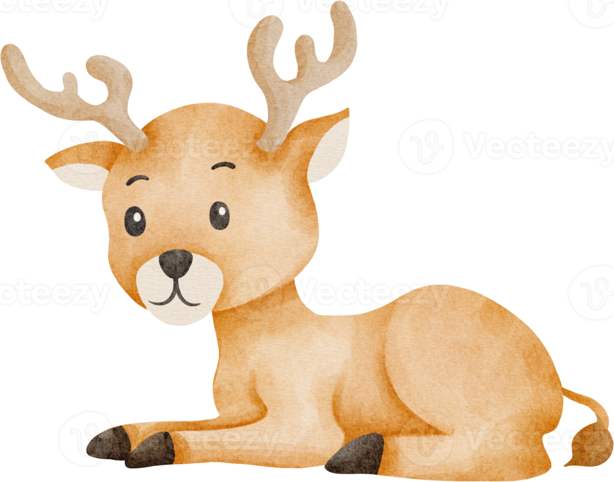 cute deer watercolor png