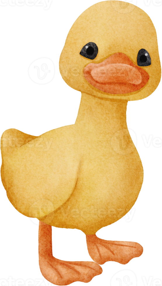 clipart de pato em aquarela png