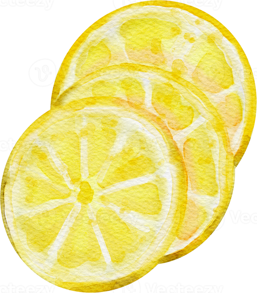 tranches de citron aquarelle png