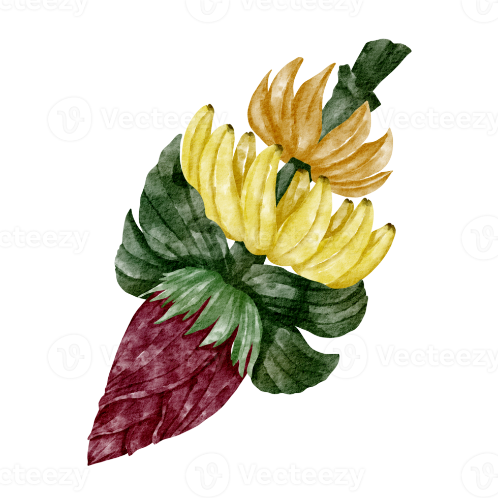 watercolor banana clip art element png