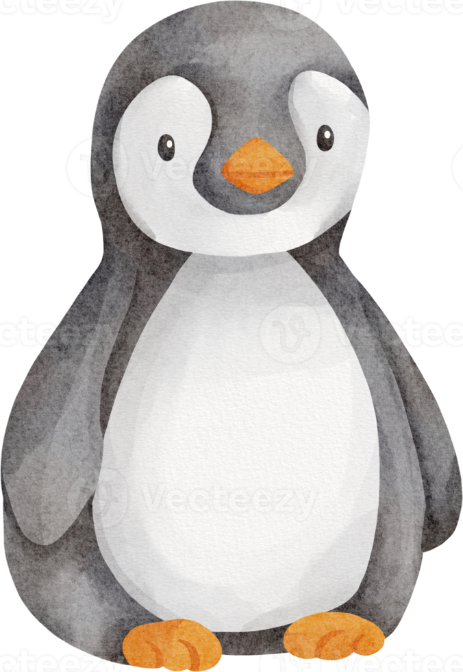 clip art lindo pingüino acuarela png