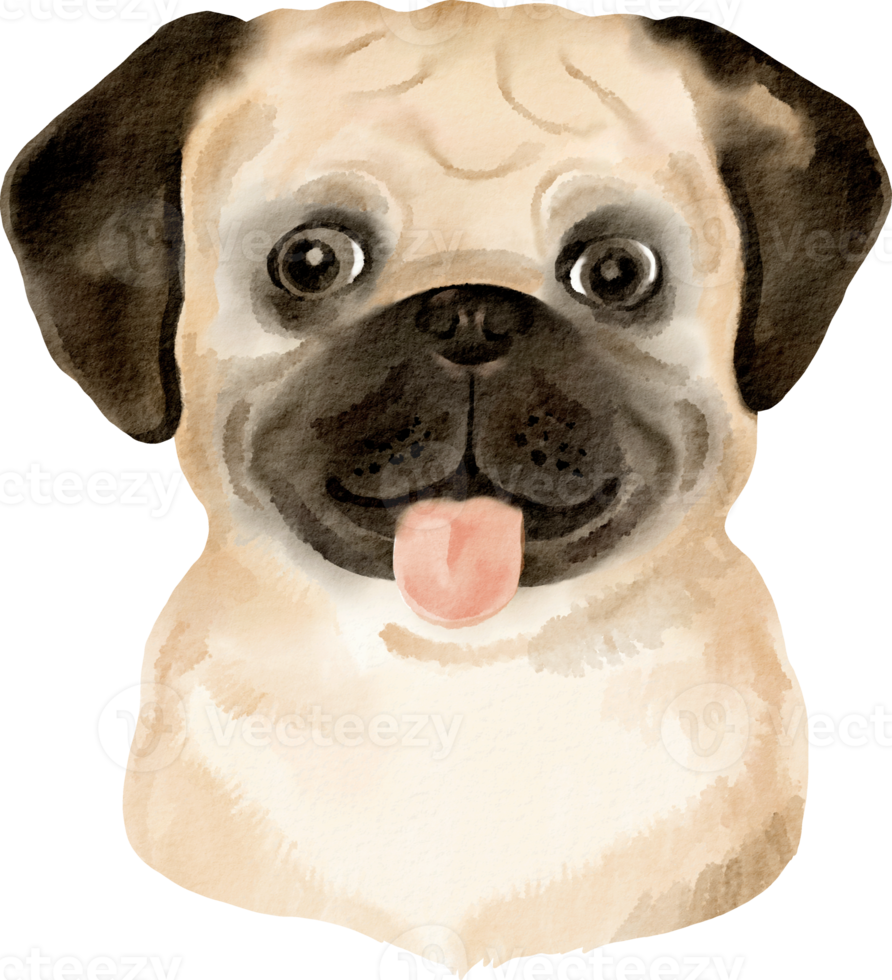 vattenfärg mops hund png