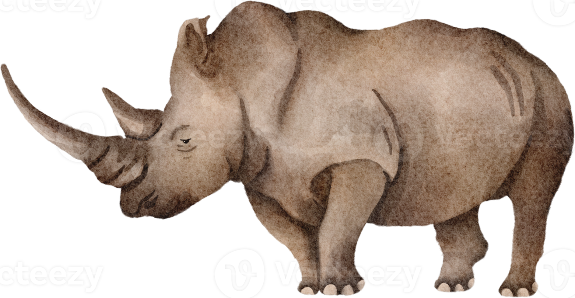 neushoorn waterverf klem kunst png