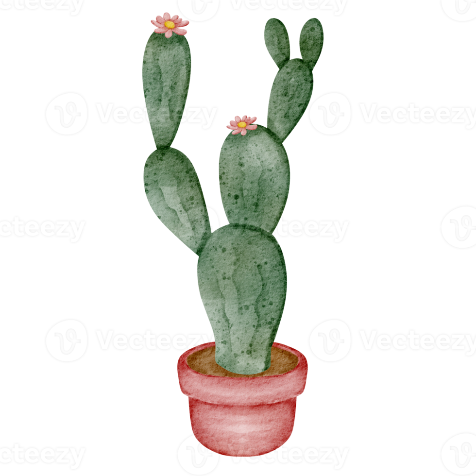 watercolor cactus pot png