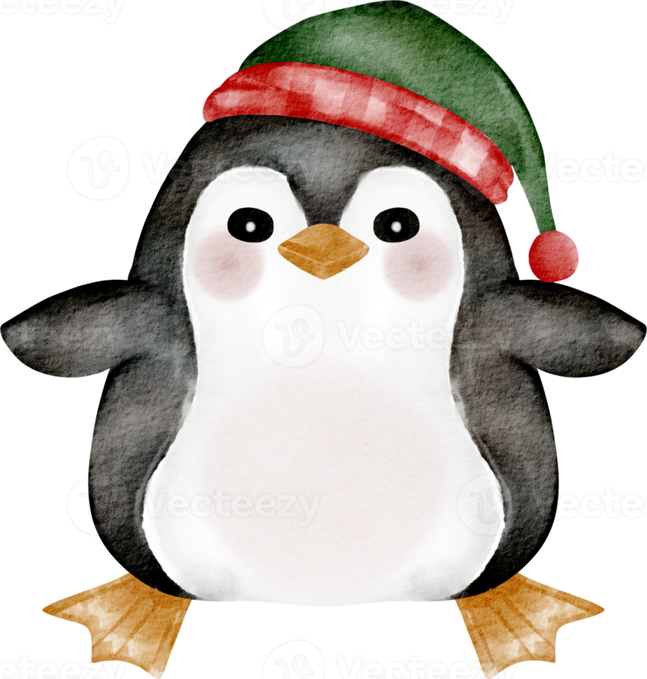 clipart de pinguim em aquarela png