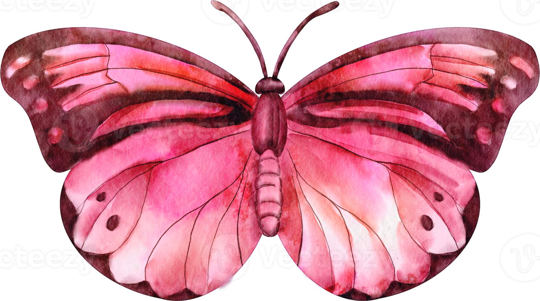 waterverf vlinder roze png