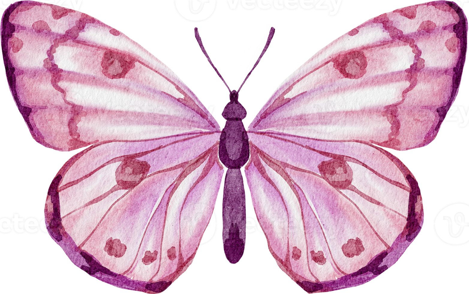 Free watercolor pink butterfly 16535702 PNG with Transparent Background