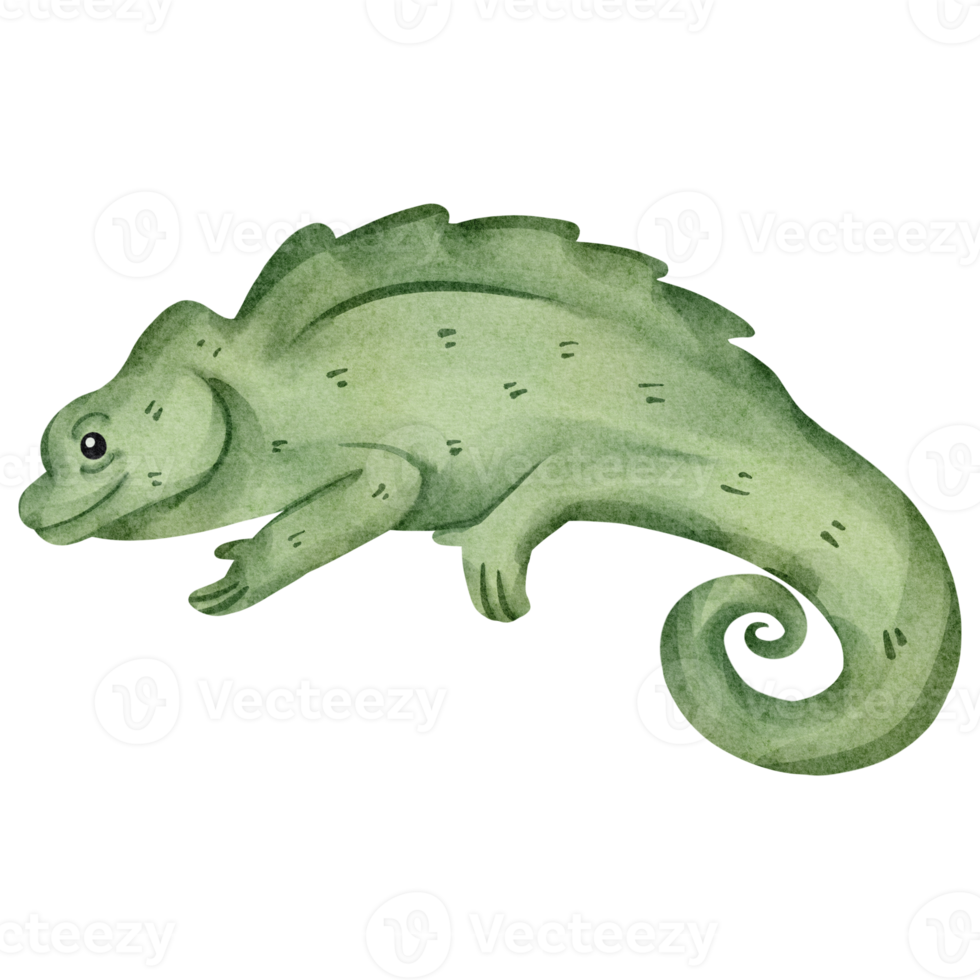 watercolor chameleon animal element png