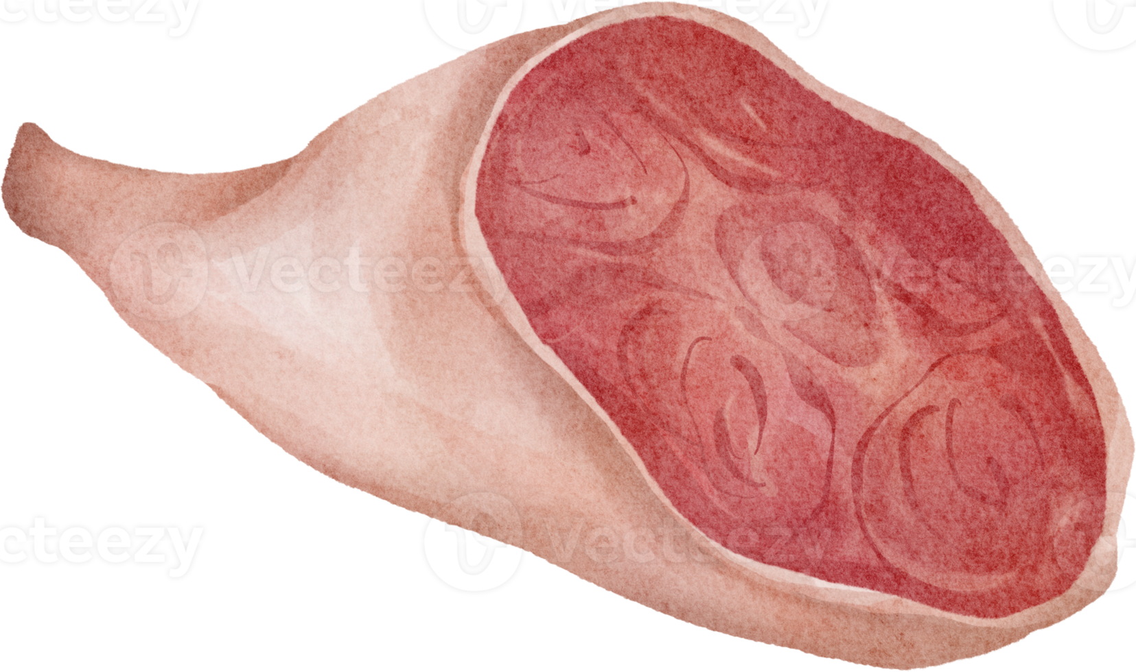 imágenes prediseñadas de jamón acuarela png