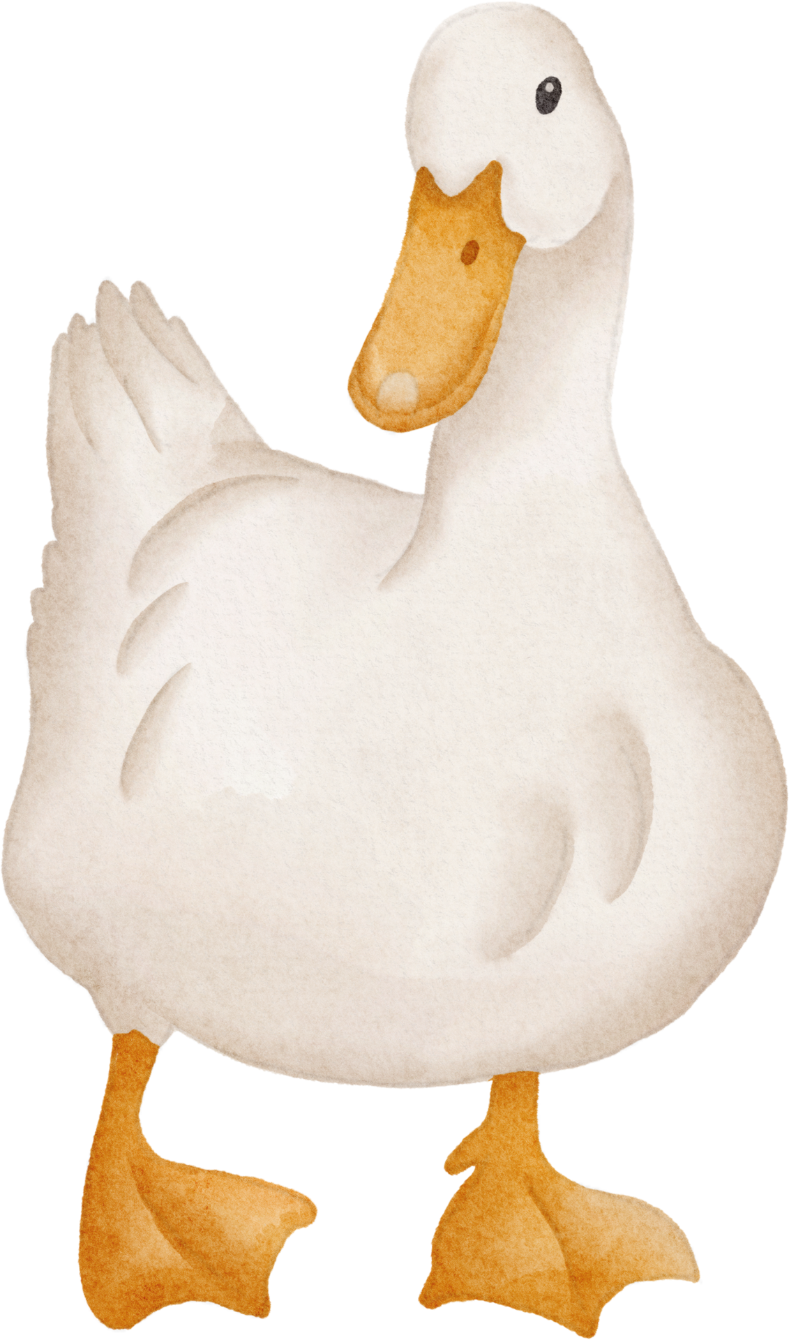 clipart duck