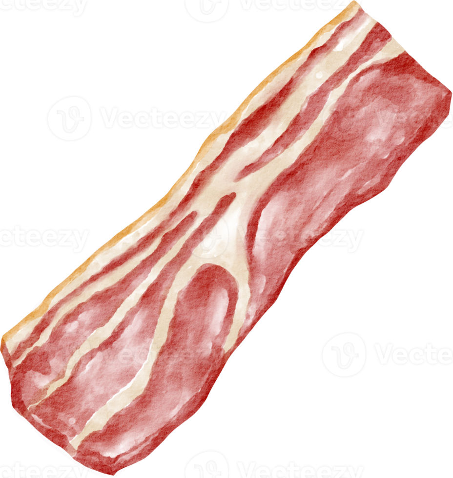 vattenfärg bacon element png