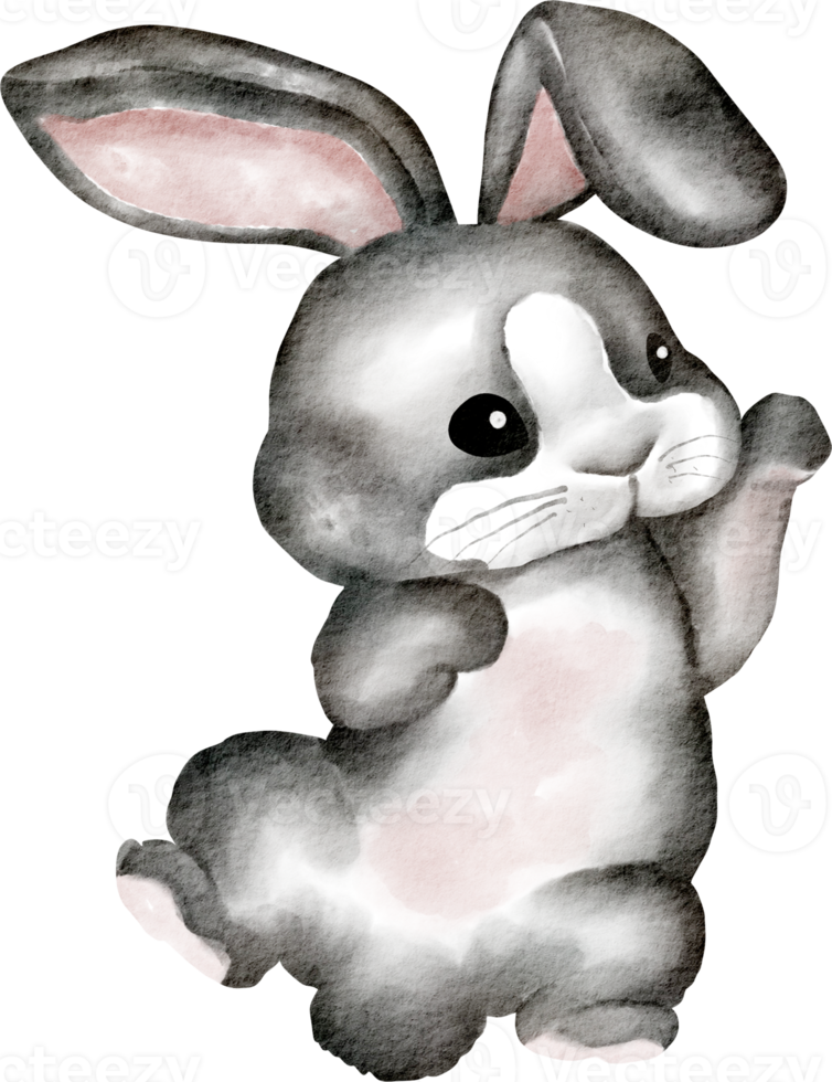 cute rabbit watercolor clip art png