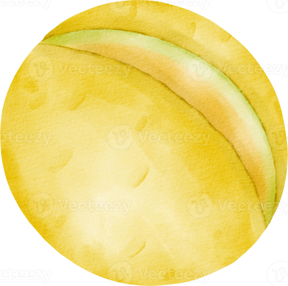imágenes prediseñadas de melón acuarela png