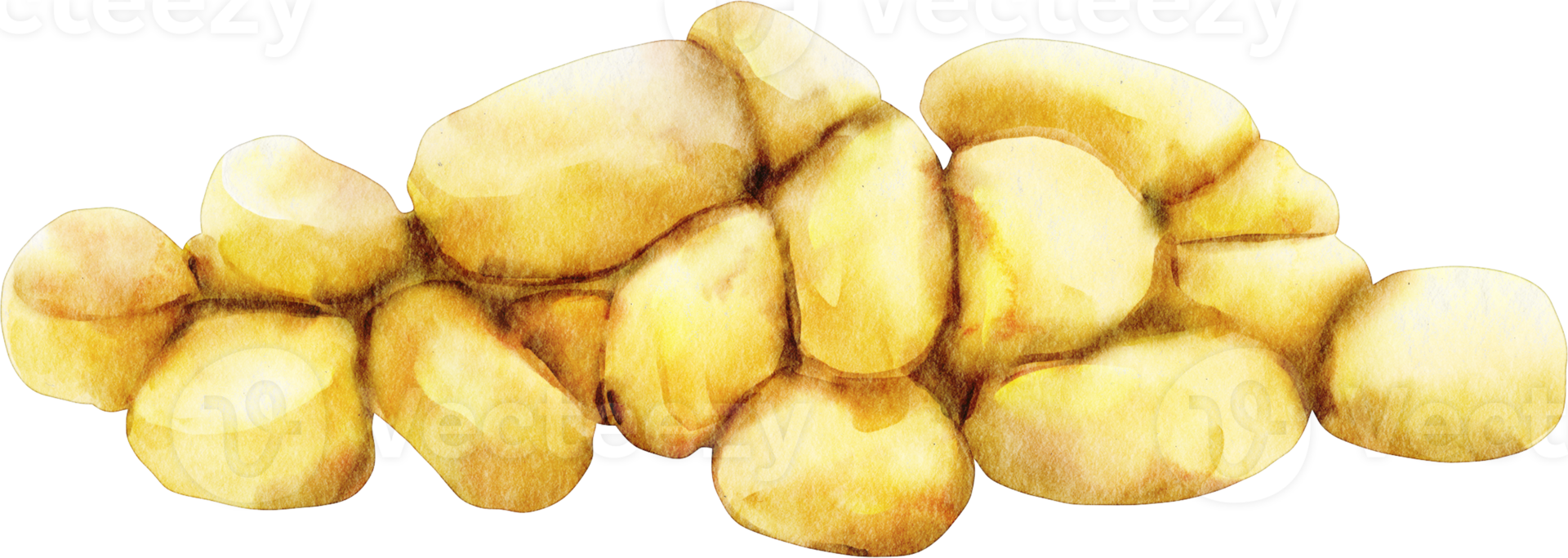 watercolor corn seed png