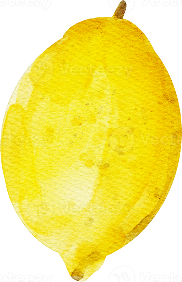 watercolor lemon fruit png