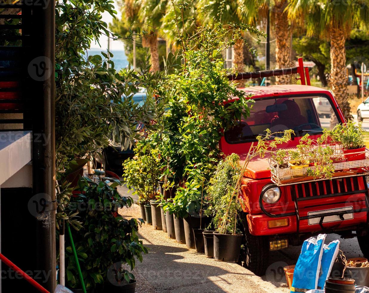 beautiful tropical city street photo