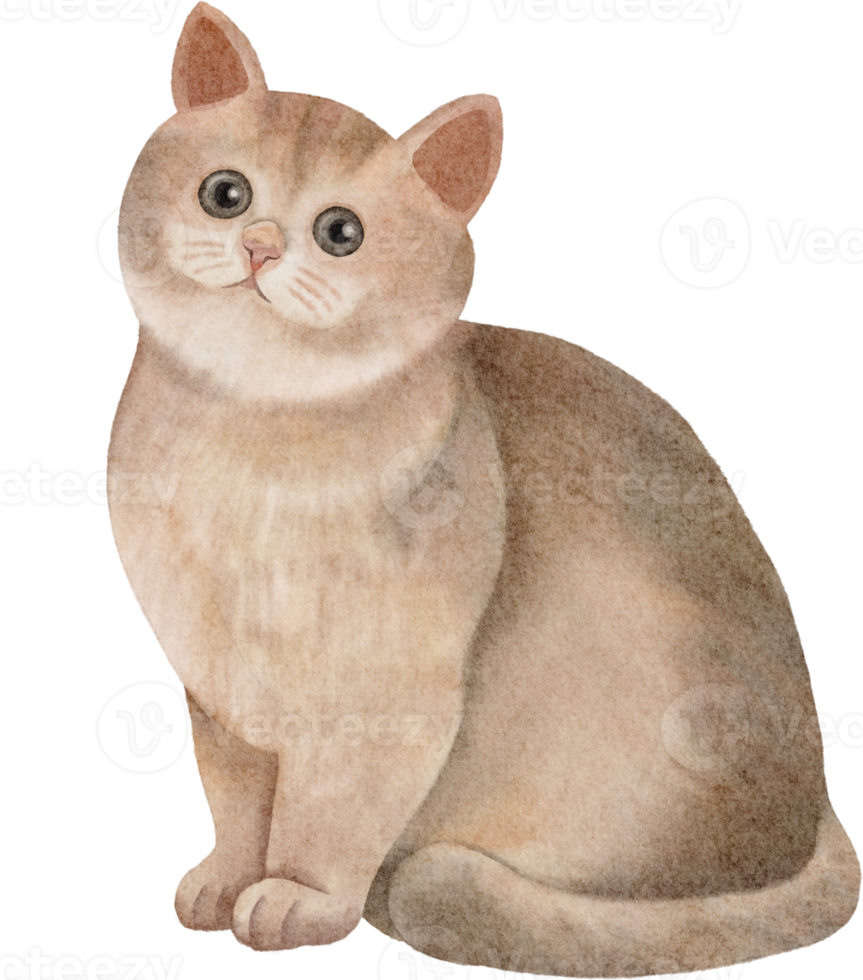 watercolor cat clip art png