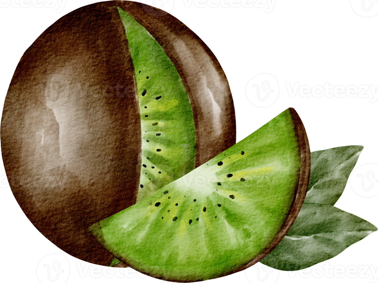 vattenfärg kiwi frukt element png