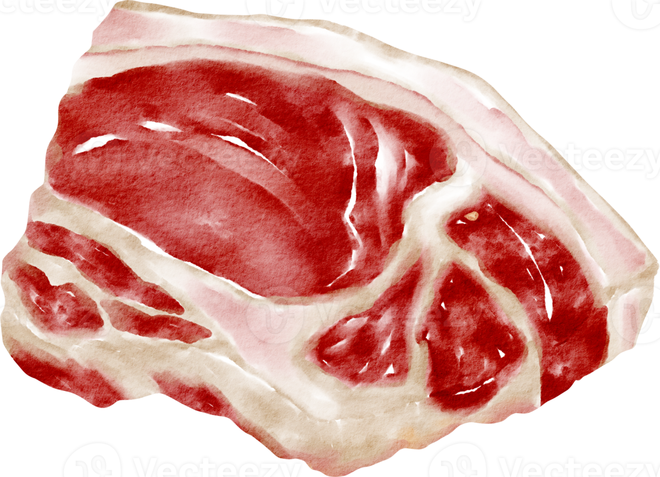 carne de bife aquarela png