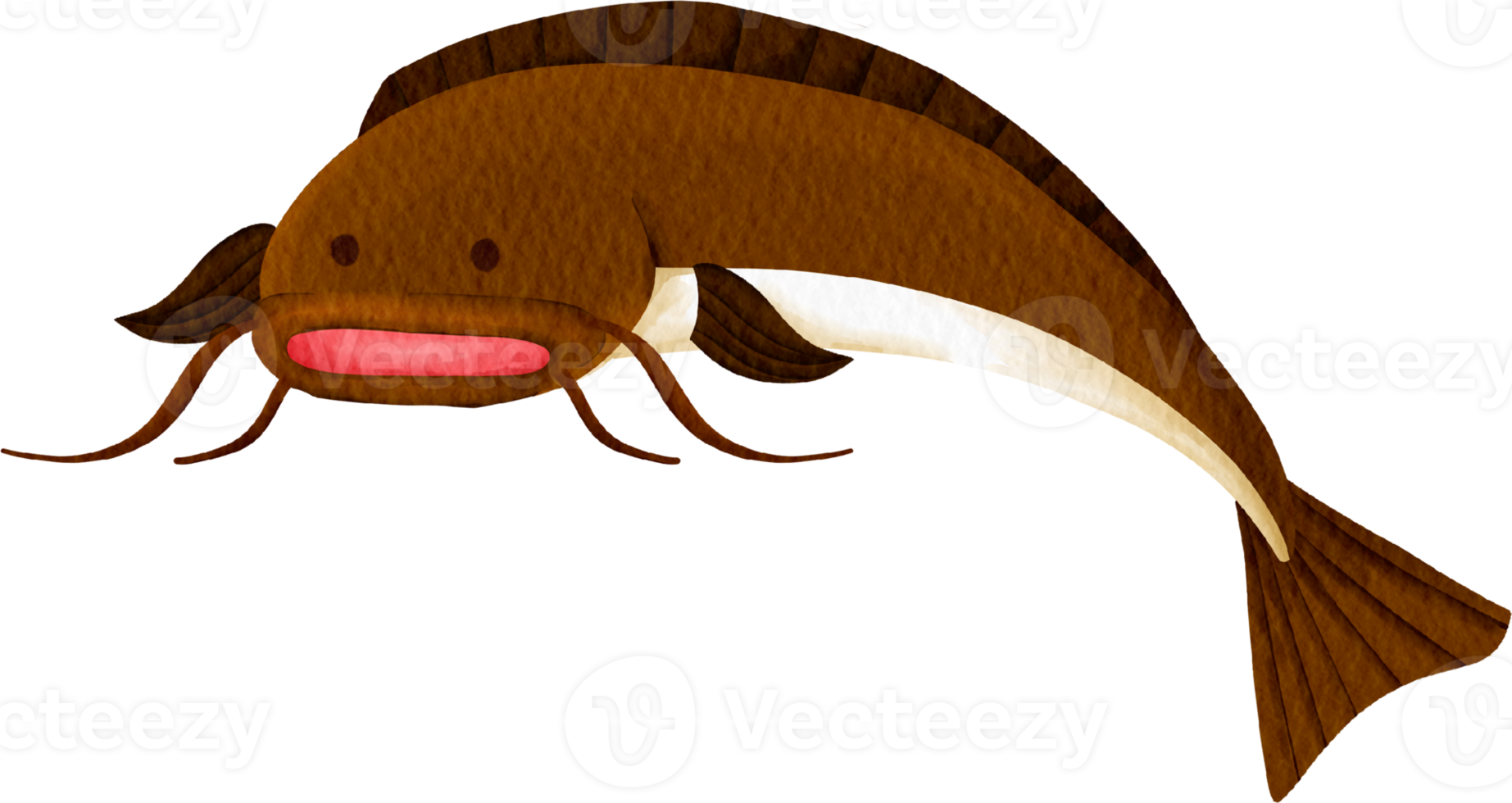 catfish watercolor clip art png