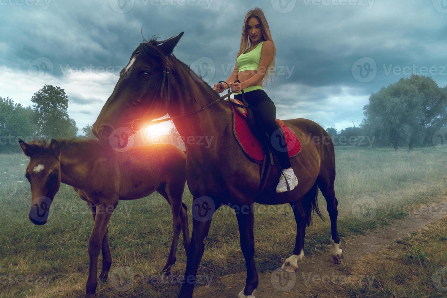 beautiful chic girl on horseback looking photo