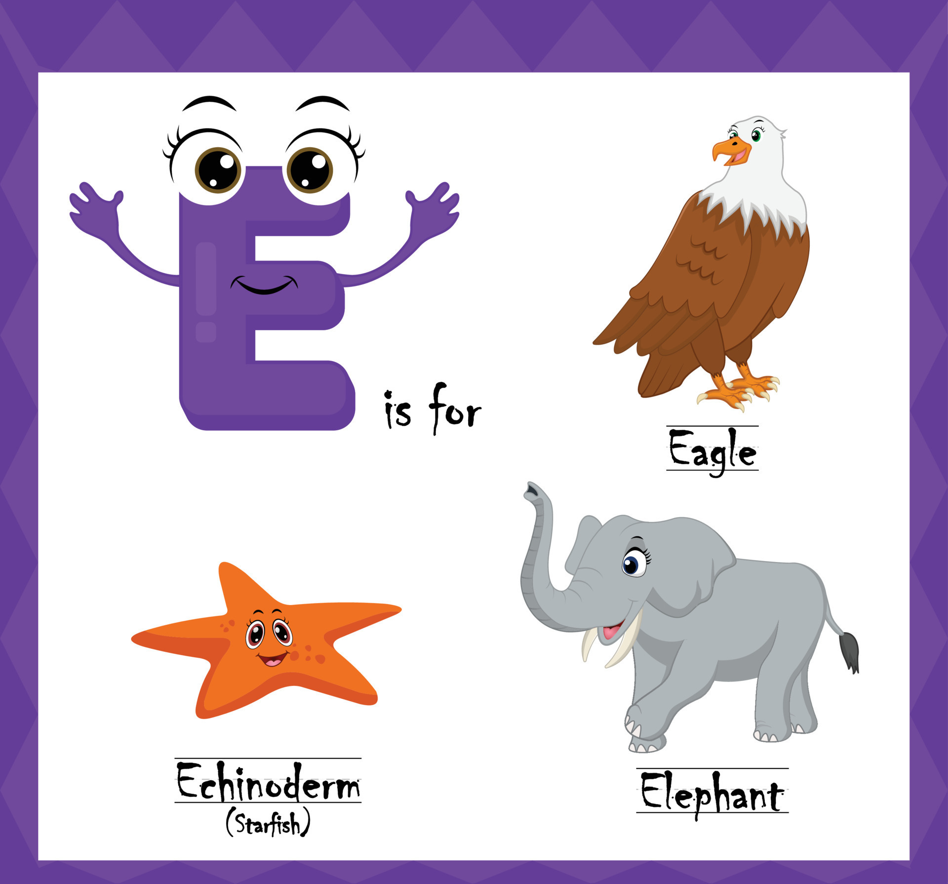 Letter e vector, alphabet e for eagle, echinoderms starfish, elephant animals, english alphabets