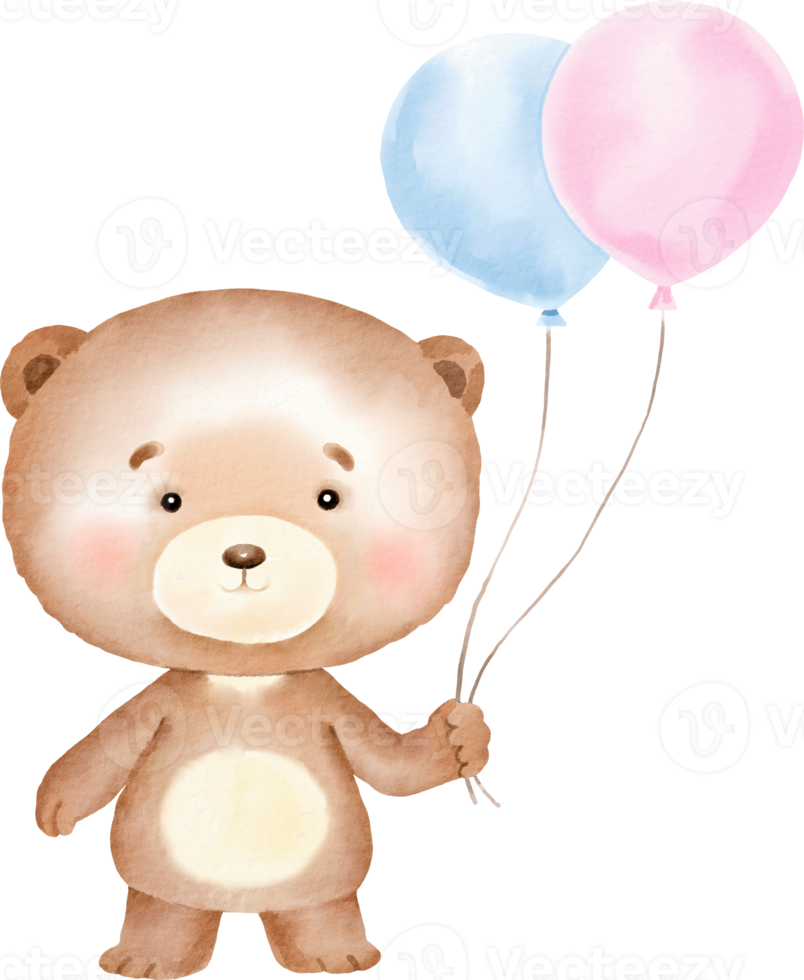 cute teddy bear png