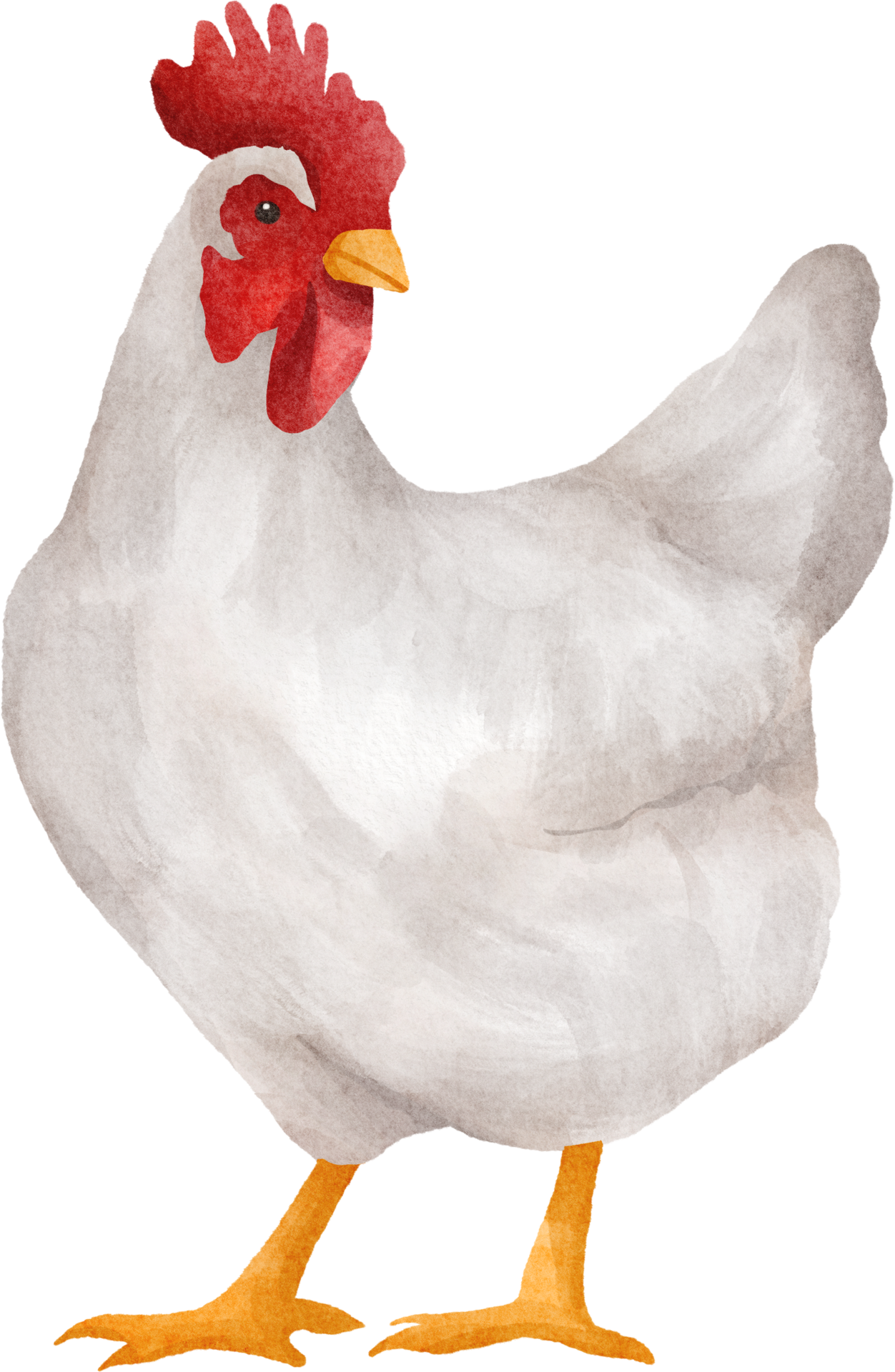 Hen Clipart PNG Images, Vector Painted Old Hen, Hen Clipart