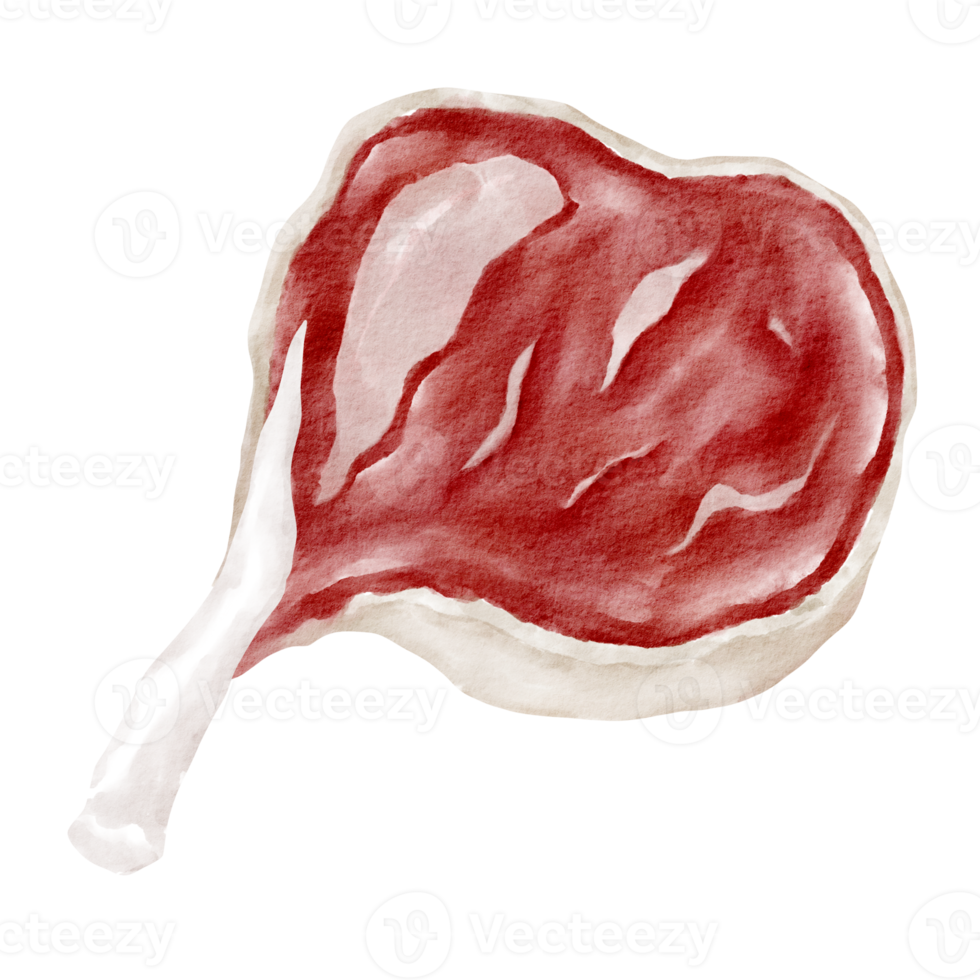 carne em aquarela carne crua png