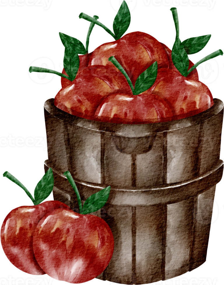watercolor red apple png