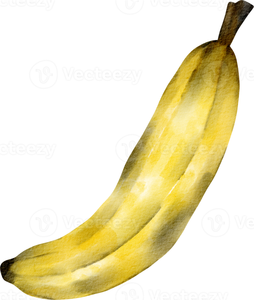 vattenfärg banan mogen png