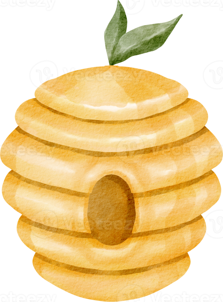 watercolor honey comb png