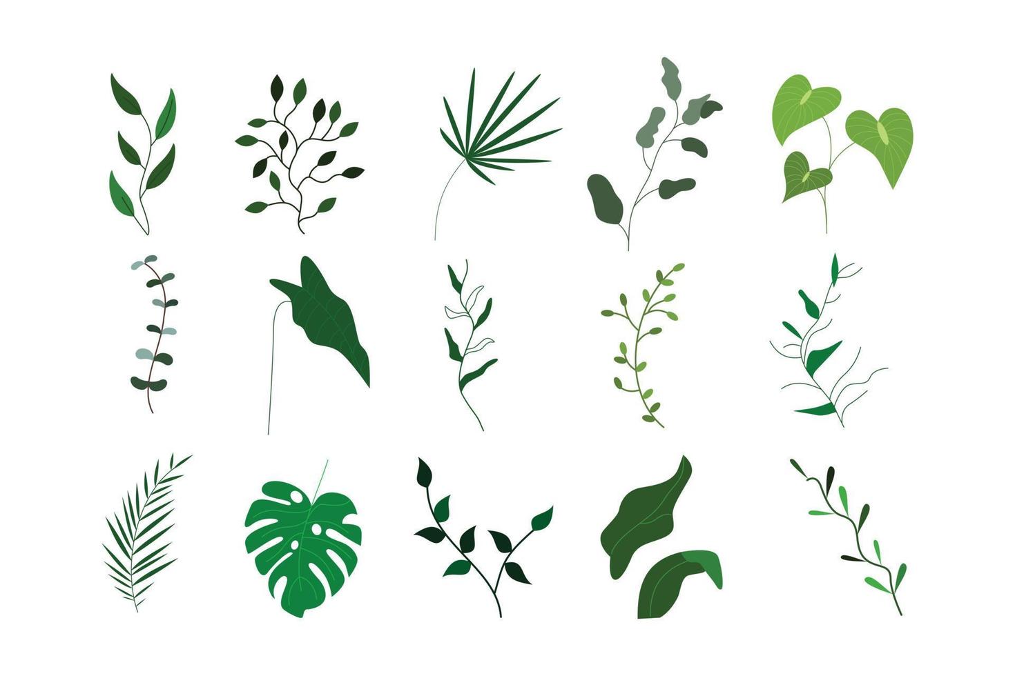 Set of beautiful tropical leaf isolated for nature design element vector