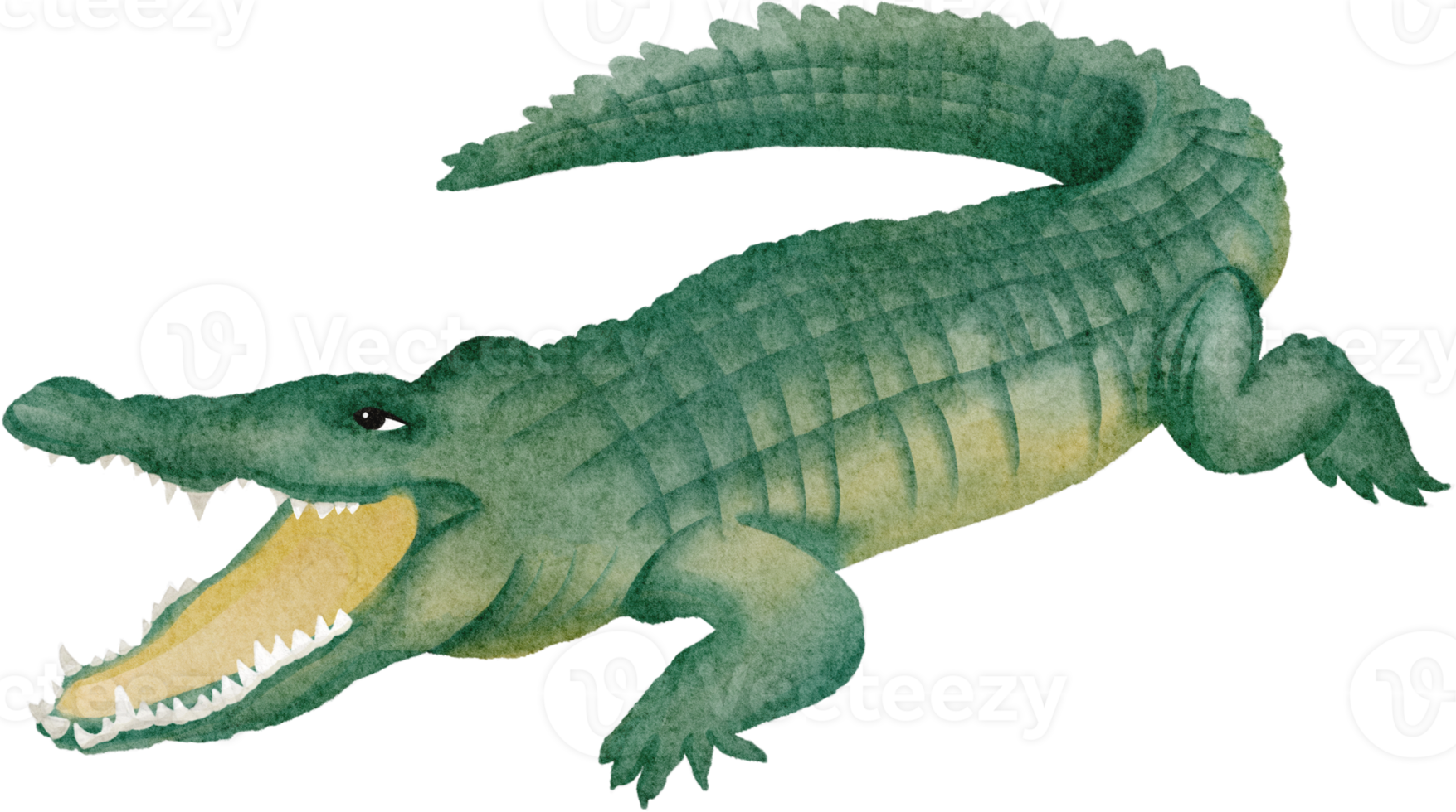 watercolor crocodile clip art png