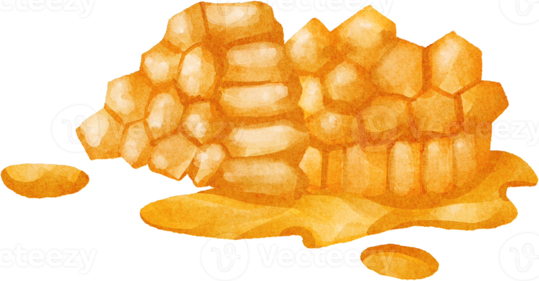 watercolor honey comb png