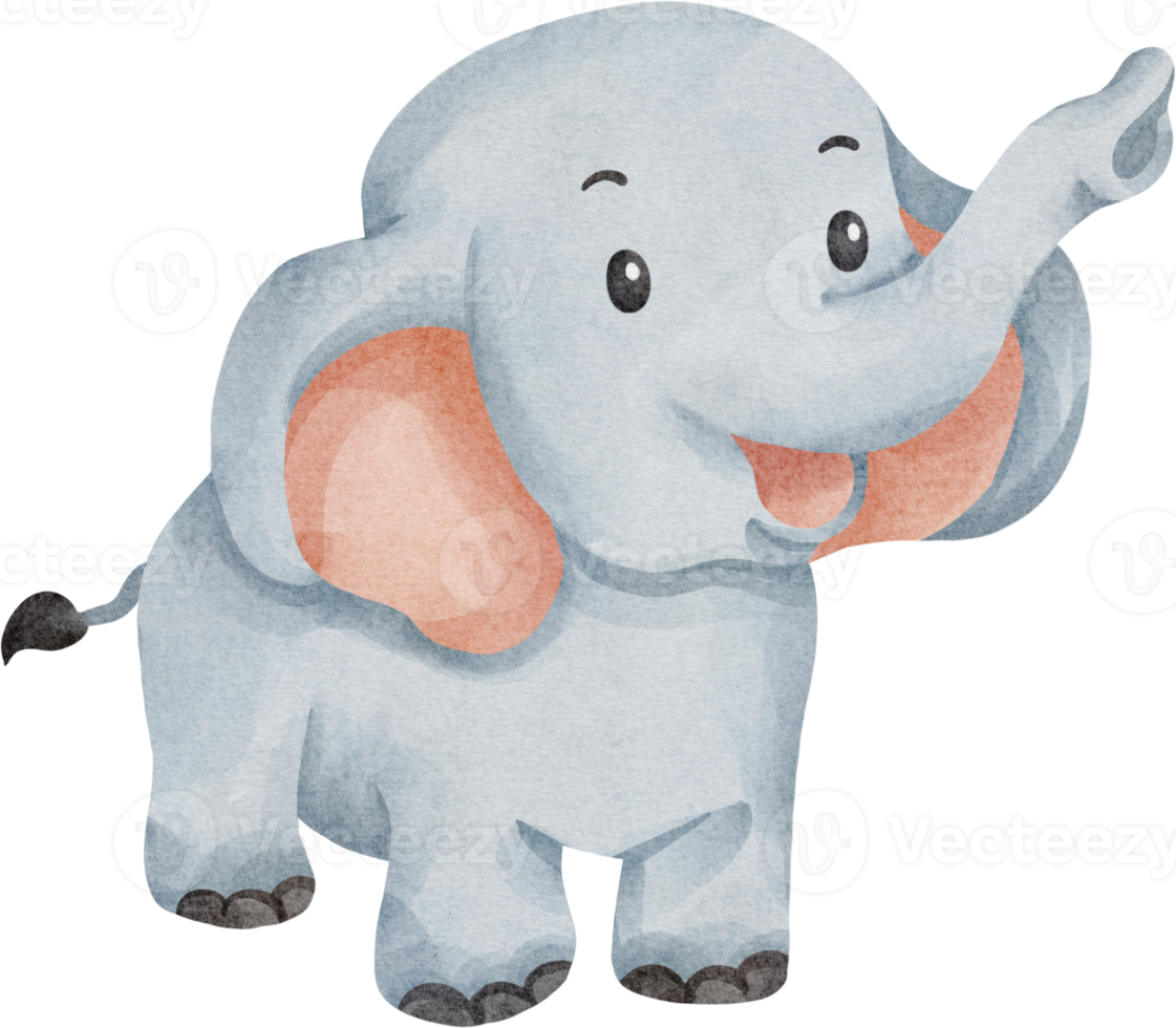 carino elefante acquerello png