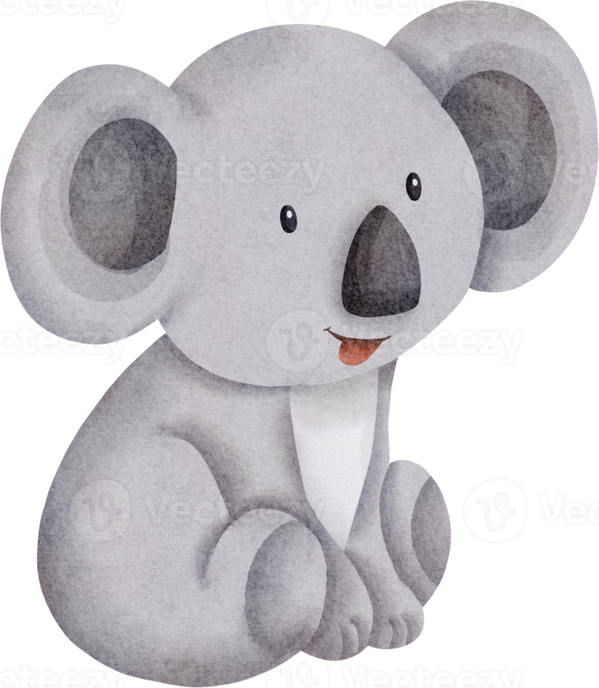 linda acuarela de koala png