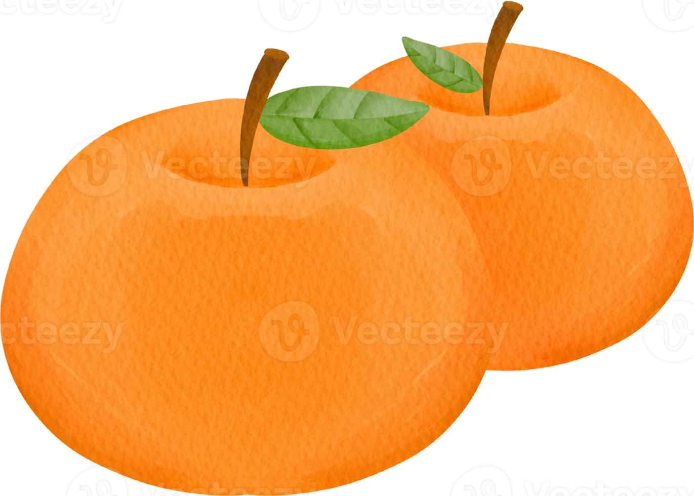 vattenfärg orange klämma konst png