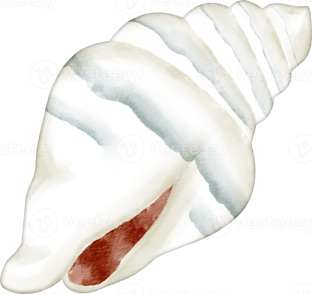 acquerello mare vita png