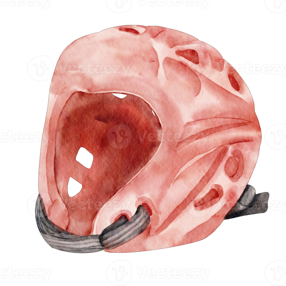 vattenfärg boxning hjälm png