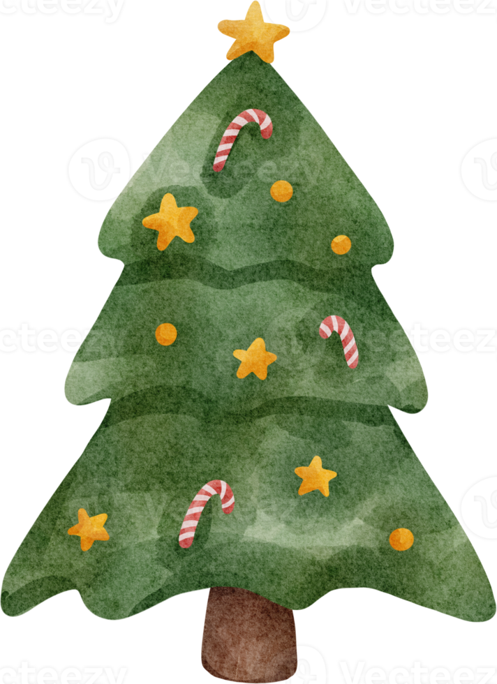 watercolor christmas tree png