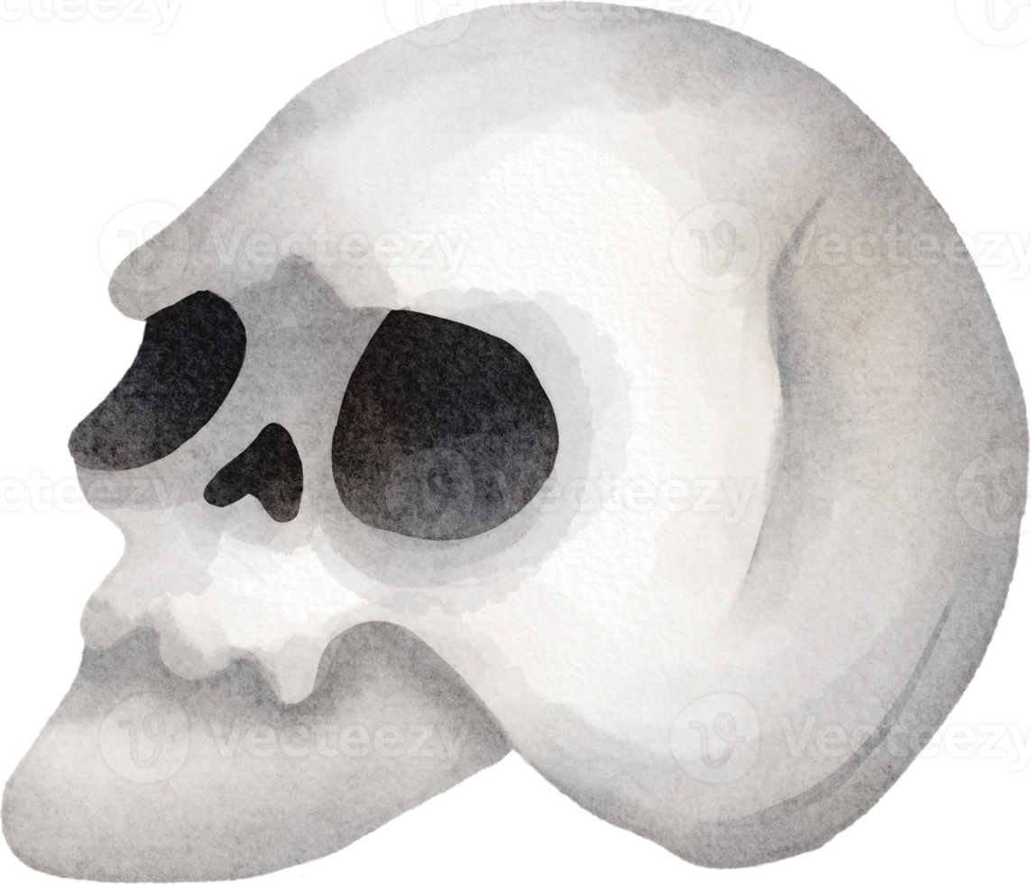 watercolor halloween skull png