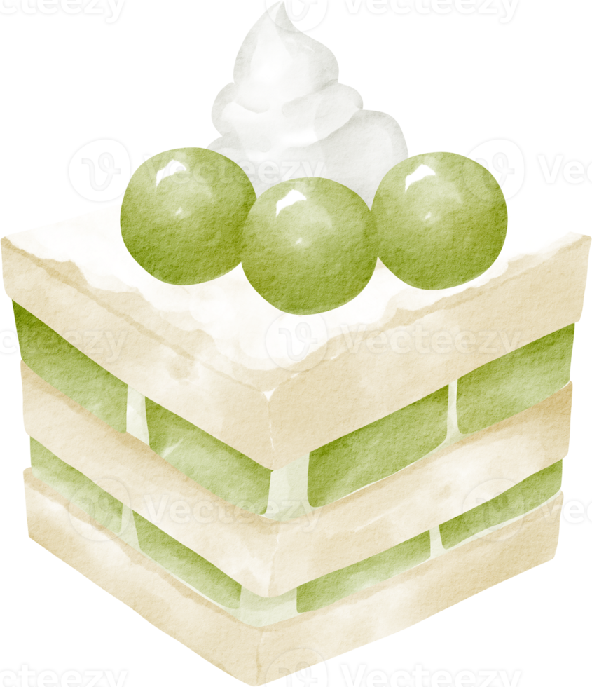 watercolor cake melon clip art png